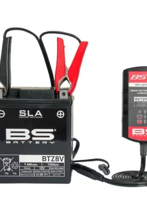 Spedizione Espresso Caricabatterie intelligente BS BATTERY BS10 - 6/12V 1A
