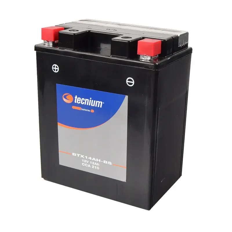 Offerta Del Giorno Batteria senza manutenzione Tecnium BTX14AH-BS 12V 12 AH = YTX14AH-BS