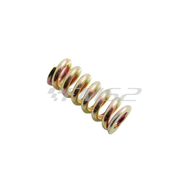 Compra Oggi Stesso 14710614 Molla reggispinta telaietto reggi motore per tutti gli scooter con motore MINARELLI VERTICALE 50, MINARELLI ORIZZONTALE ad aria e liquido 50, MBK BOOSTER 100 e YAMAHA BW‘S 100
