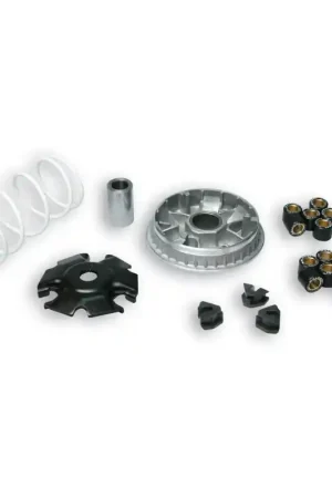 Variatore Malossi Multivar per Aprilia Scarabeo 200-300. Gilera Runner 200, Piaggio Beverly 200-250-300, Vespa 250-300 Spedizione Espresso