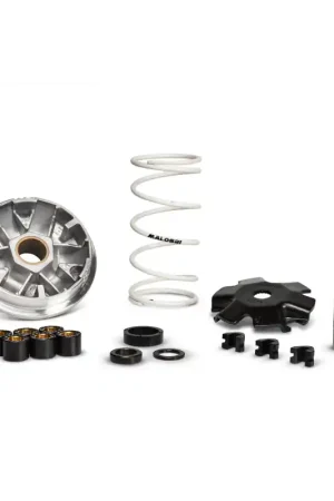 Variatore Malossi Multivar per motori minarelli 50, Yamaha Aerox, Beta ark, malaguti F12, MBK nitro, yamaha Ovetto Reso Gratuito