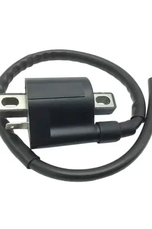 Bobina Accensione per motori Minarelli 50, Aprilia SR, MBK Booster, Ovetto, Nitro, Yamaha Aerox, Neos Ultimissimo Modello