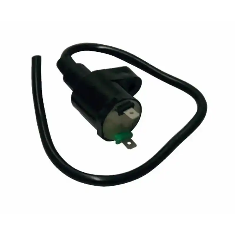 Bobina Accensione per Aprilia Scarabeo-SPortcity 125, Gilera Runner 125-200, Honda SH 50, 125, Dylan, PIaggno beverly 125 Spedizione Espresso