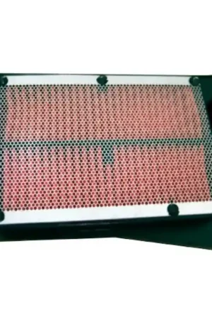 Hokio Filtro aria Motore Suzuki Burgman 400 07-16 Consegna Rapida